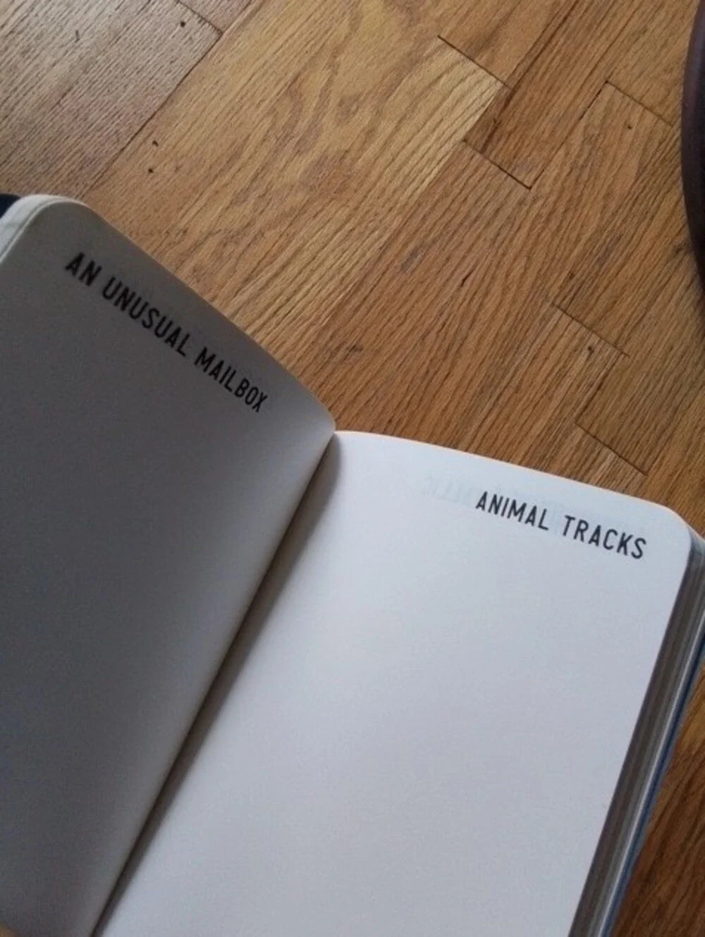 201 Drawing Prompts Notebook - Blue